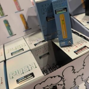 PUSH 2g Disposable