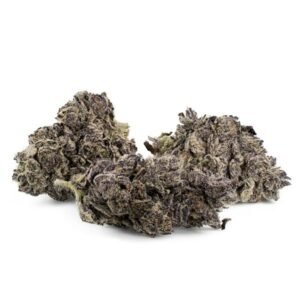 Garlic by Sensi Seeds