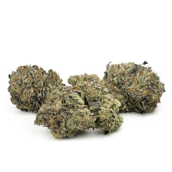 Jedi-Kush-2-600x600-1.jpg