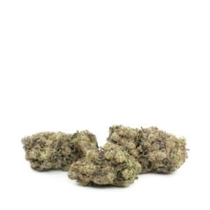 Miracle Alien Cookies #10